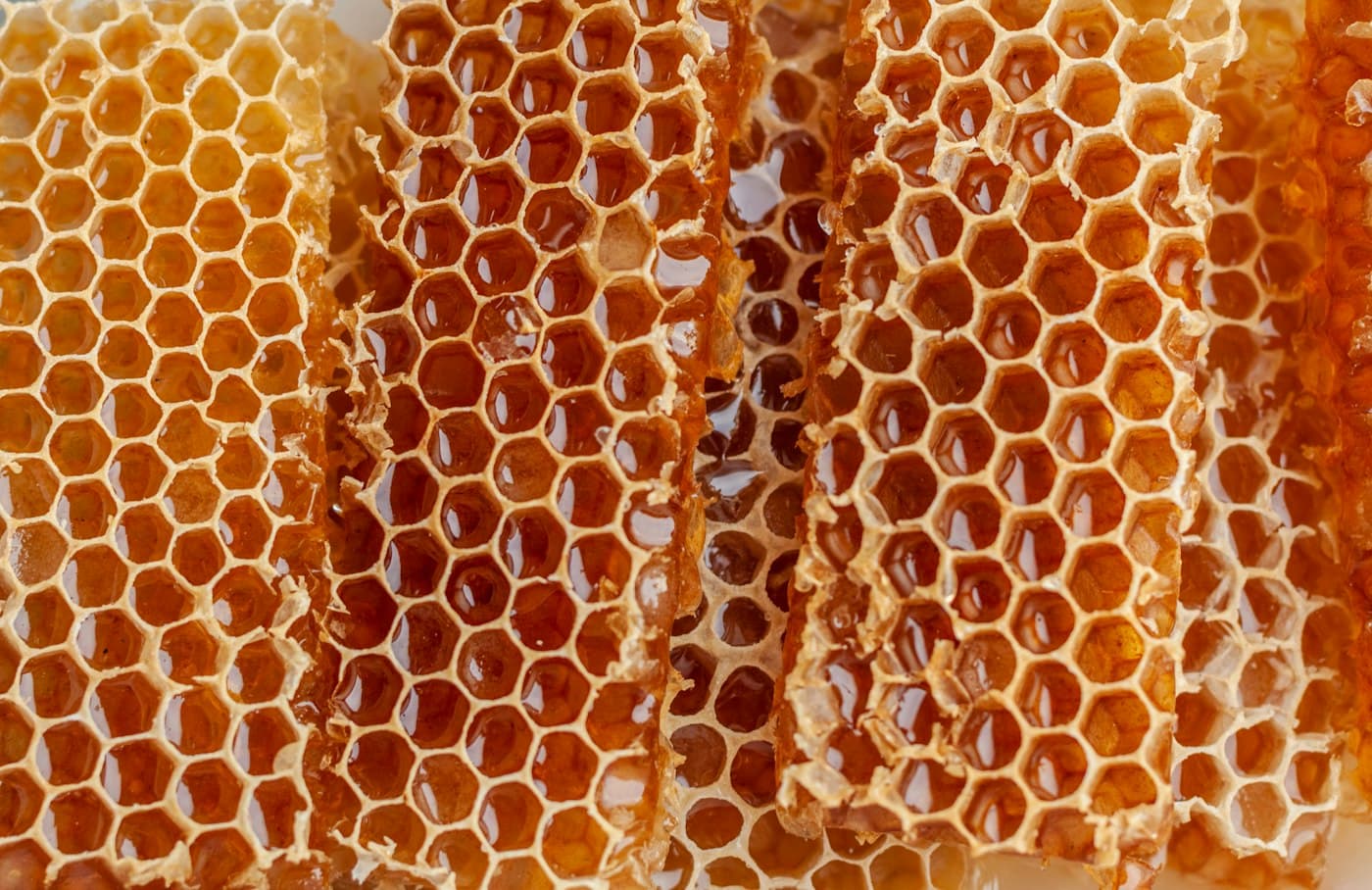 Wild Cliff Honey
