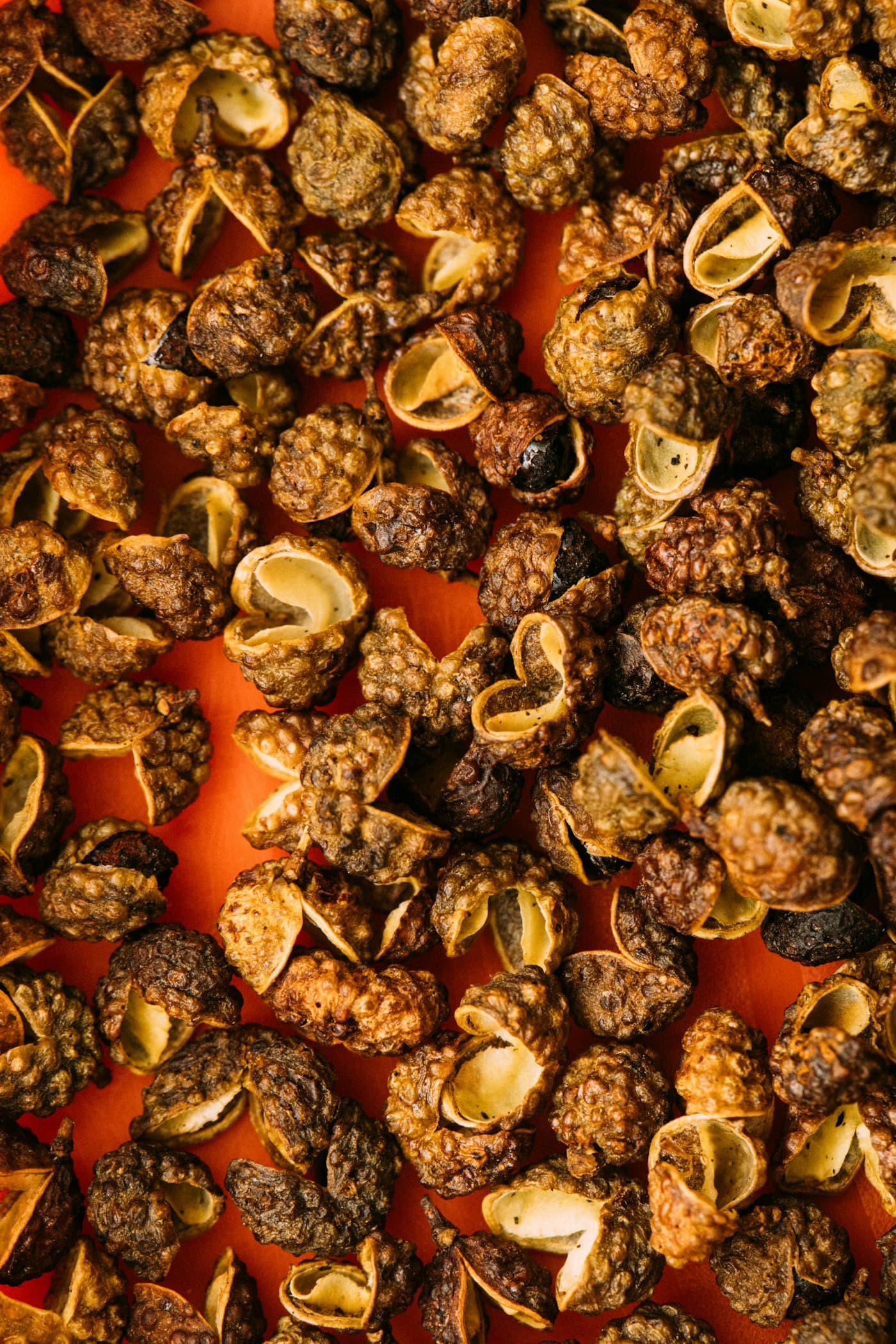 Timur (Sichuan Pepper)