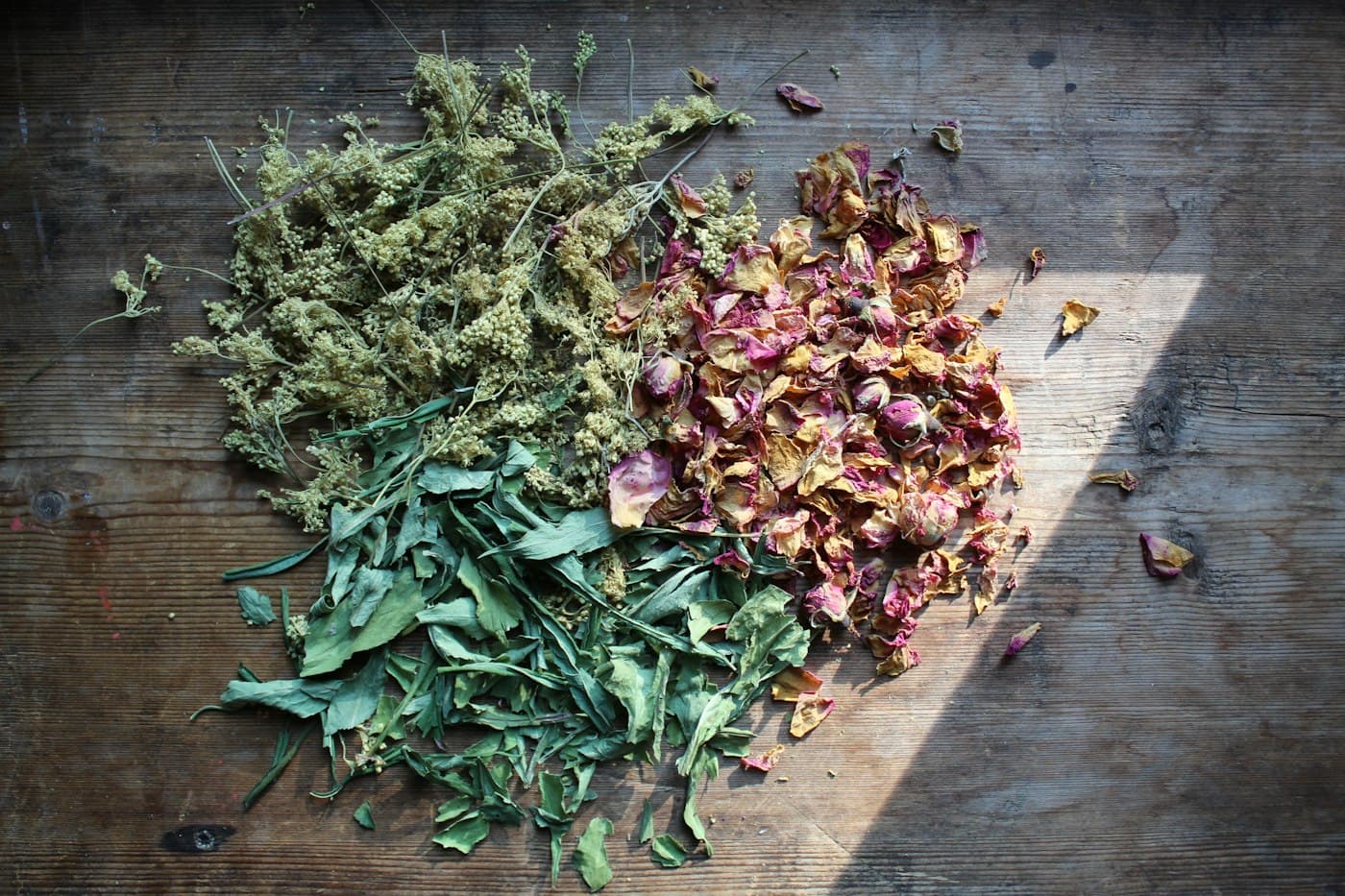 Jimbu Himalayan Herb