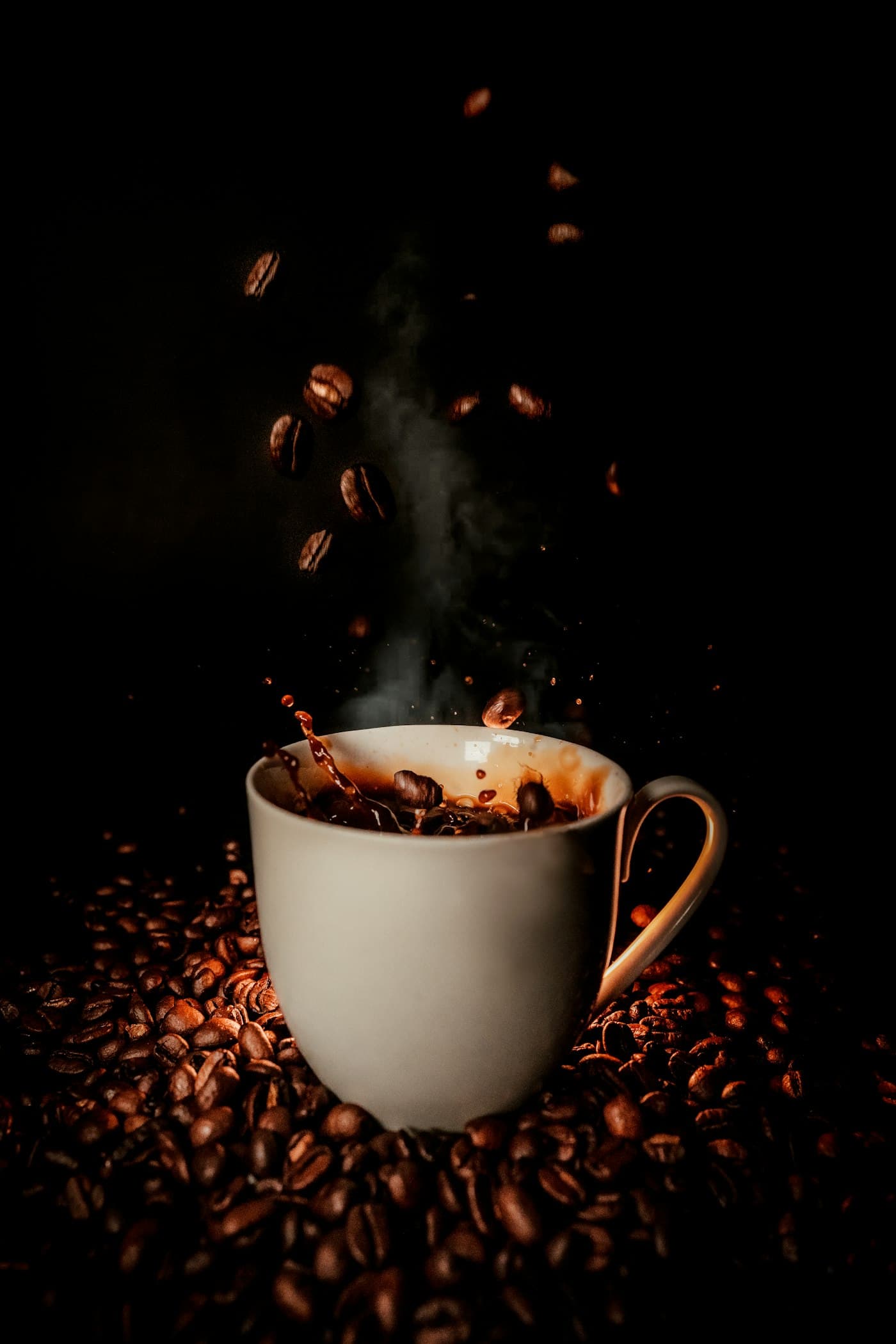Palpa Dark Roast